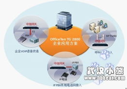 網經科技湖北省新產品發布會圓滿落幕，引領網絡科技新浪潮