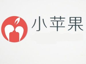 寧波小蘋果青春網(wǎng)絡(luò)科技 數(shù)字化時代的計算機服務(wù)領(lǐng)航者